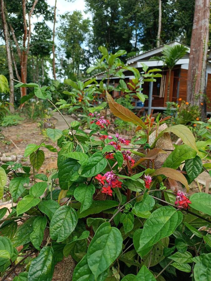 Good Time Resort Koh Kood Ban Lak Uan Eksteriør bilde